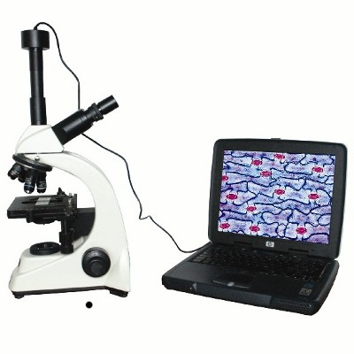 Microscope CCD