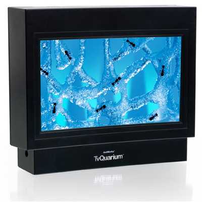 AntWorks TV Quarium