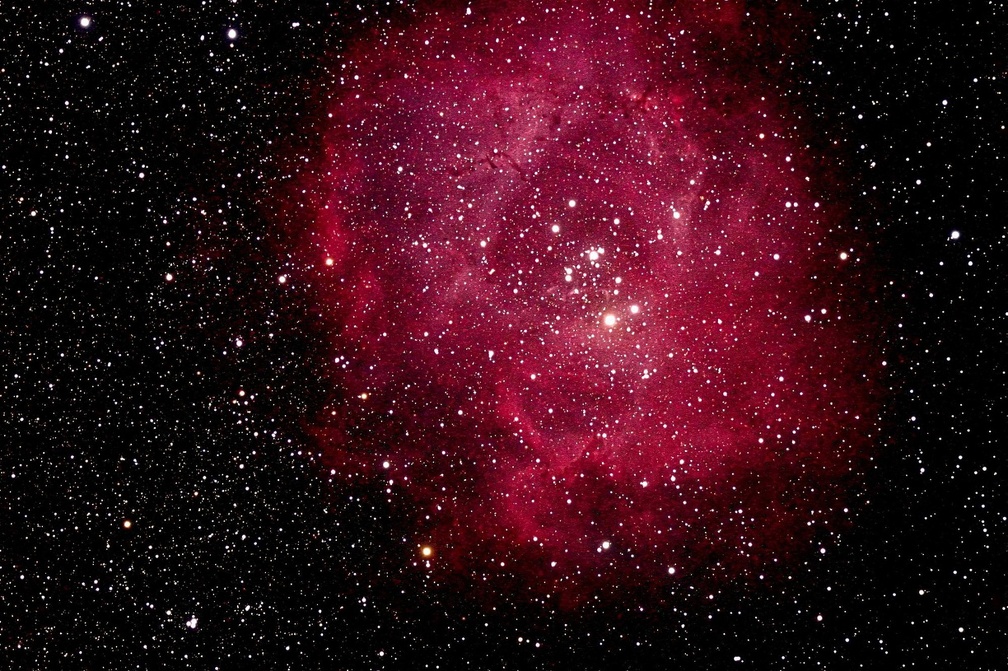 nebulosa roseta