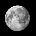 Luna 24 03 05