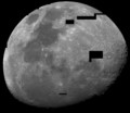 luna.jpg