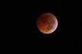 Eclipse Lunar 2010