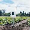 Complete Wireless Soil Moisture/Temperature Station