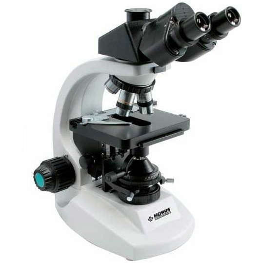 Compound Microscopes